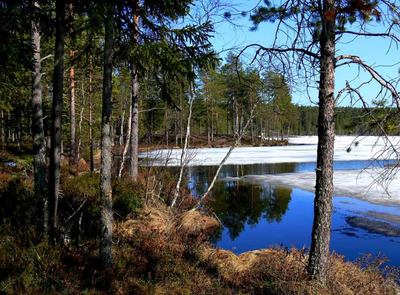 Весна